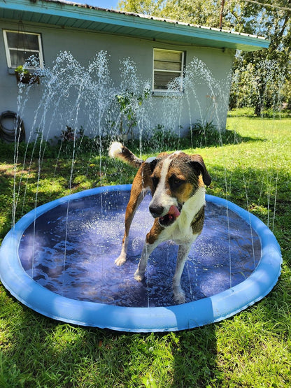 NunaSplash® The Splash Pad That Makes Your Pup Glad!