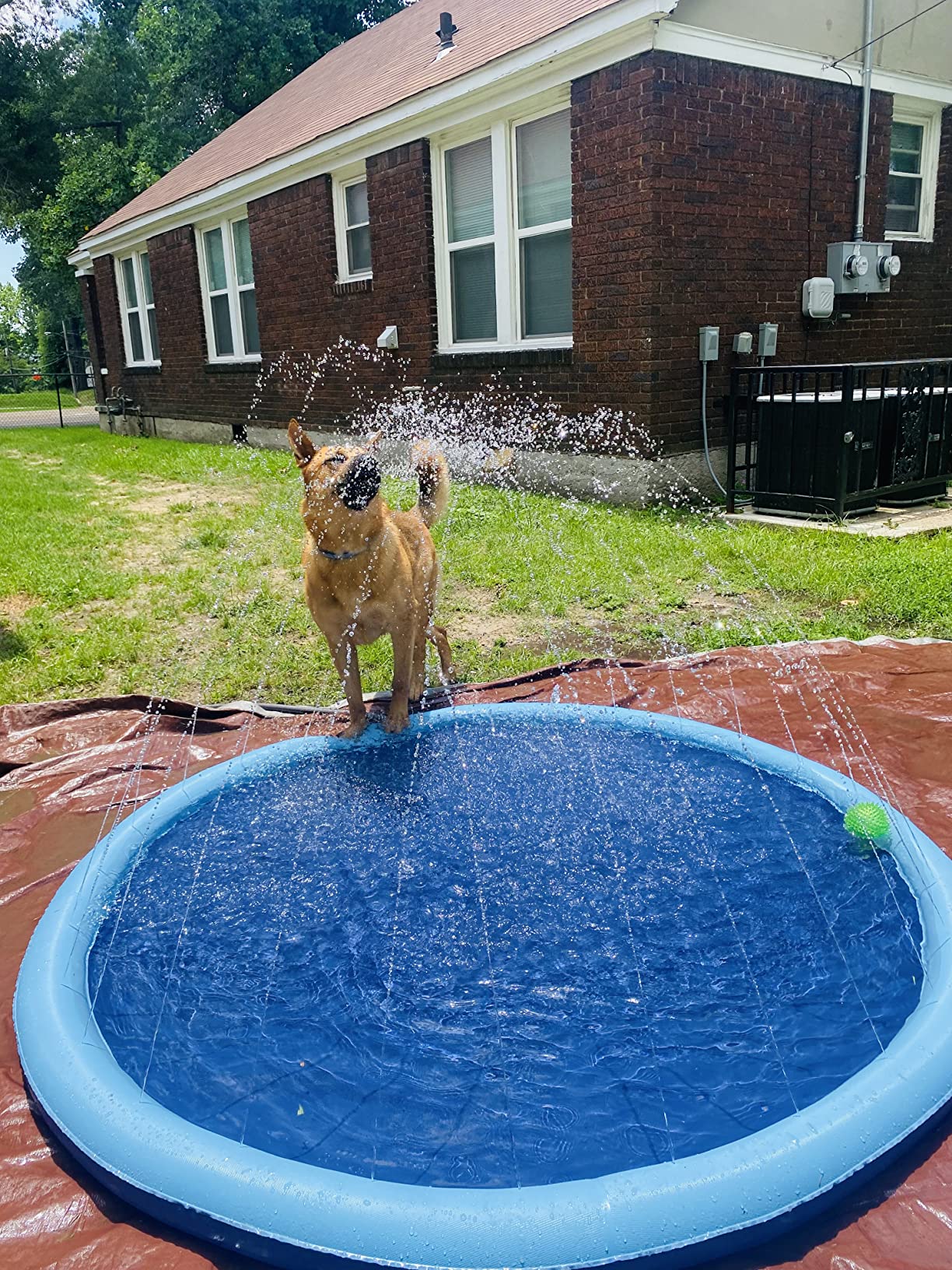 NunaSplash® The Splash Pad That Makes Your Pup Glad!