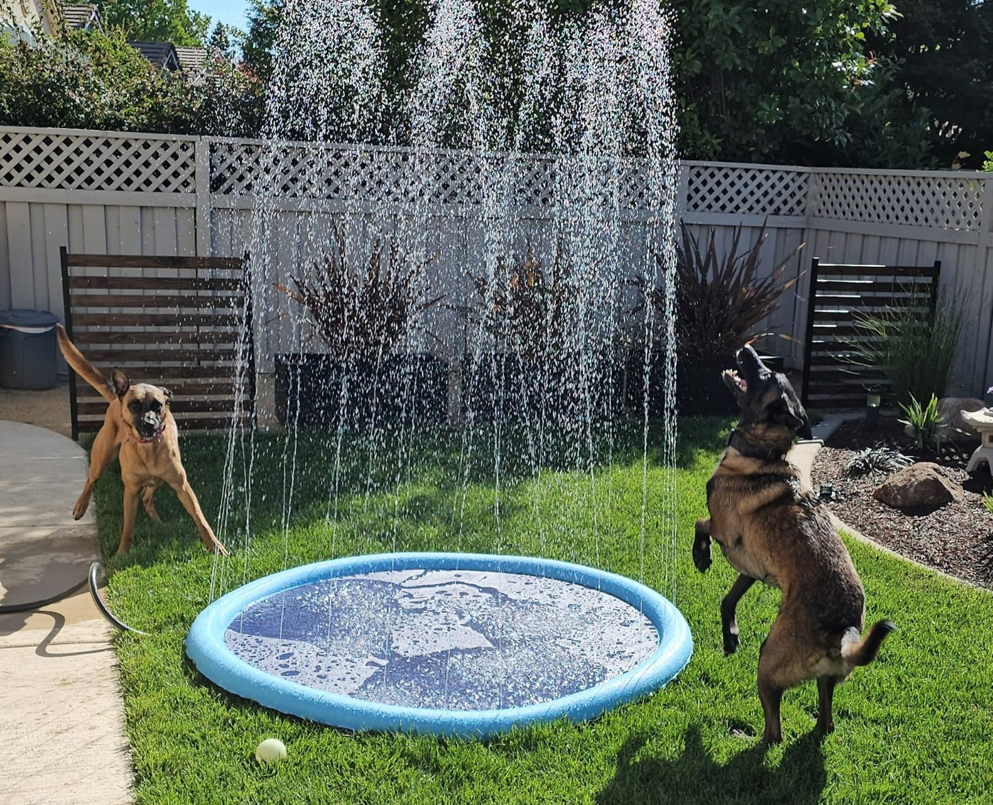 NunaSplash® The Splash Pad That Makes Your Pup Glad!