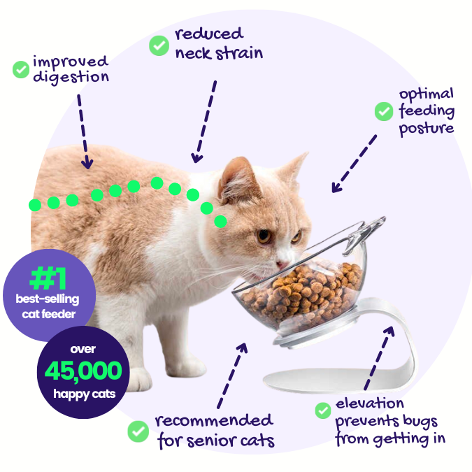 NunaBowl® Orthopedic Anti-Vomiting Cat Feeder